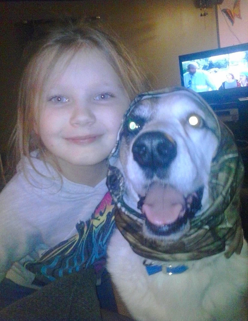 Buddy Boy is registered to the contest to win money with this photo: cable_television, carnivore, companion_dog, display_device, dog, dog_breed, fawn, fun, happy, iris, jaw, nose, picture_frame, smile, snout, sporting_group, television, toddler, vertebrate, working_animal