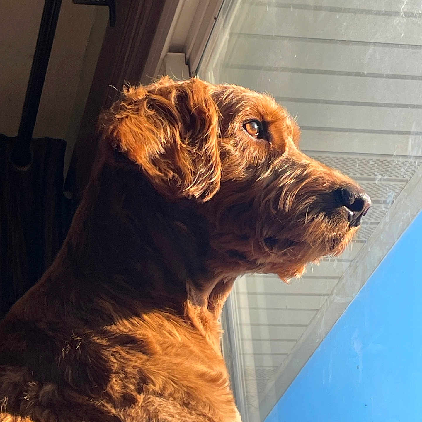 Gunner