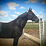 Graphita ll participe au concours pour gagner de l'argent avec cette photo :