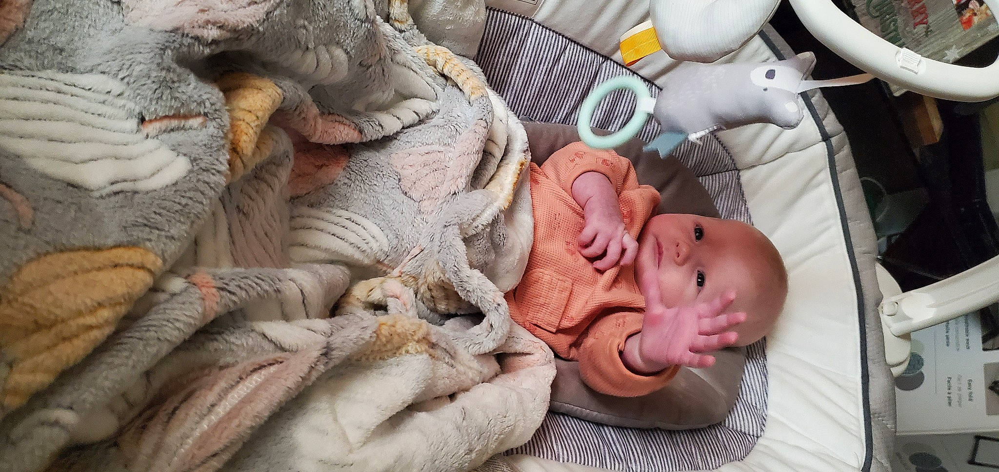 Charmee joined the competition — help win amazing prizes! art, artifact, baby, baby_products, carving, child, comfort, finger, flesh, hat, human_body, medical_procedure, person, room, sculpture, service, skin, toddler, vertebrate, wood