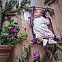baby, infant, wooden_floor, pine_cones, green_leaves, purple_flowers, rope_swing, sign, milestone, one_month, clothing, shoes, indoor, natural_light, basket, plant_arrangement, cute, portrait, laying_down, baby_boy