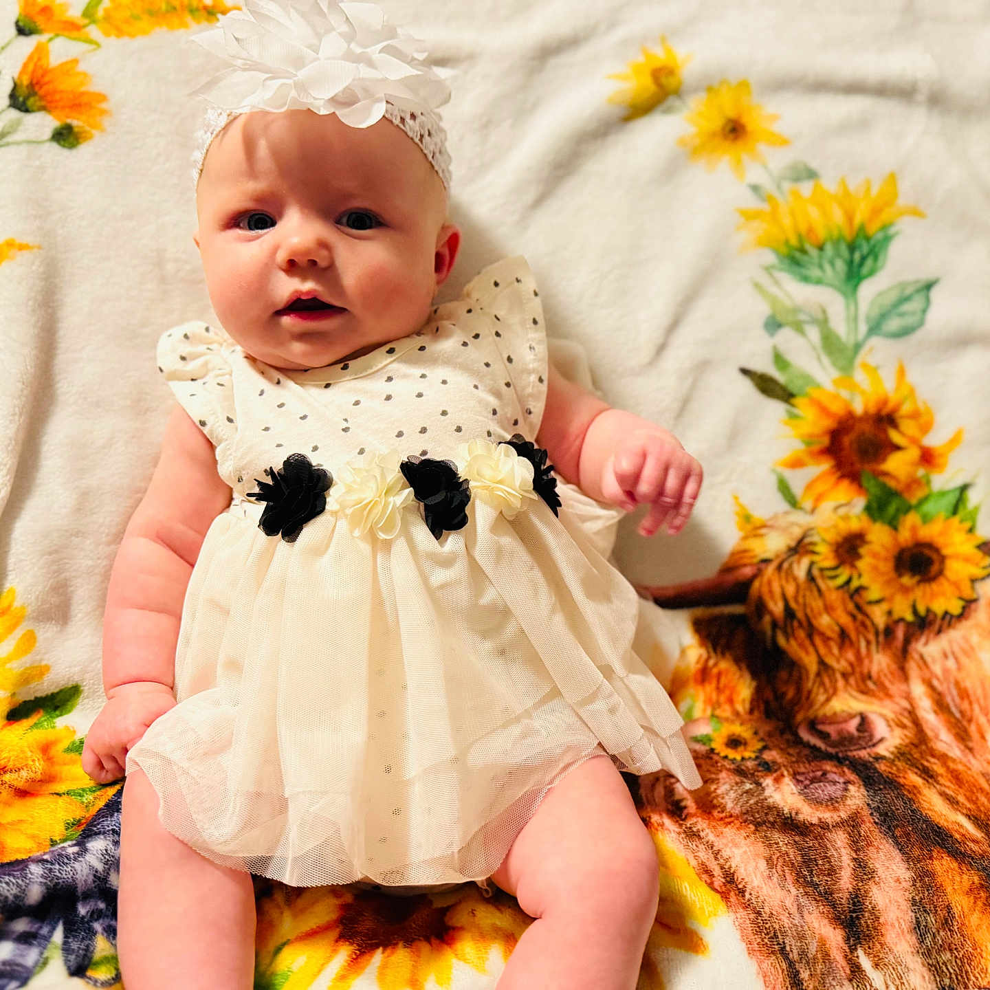Kinsley joined the competition — help win amazing prizes! baby, bodypart, clothing, cushion, daisy, dress, face, finger, flower, flowerarrangement, flowerbouquet, hand, hat, head, newborn, person, photography, plant, portrait, sunflower