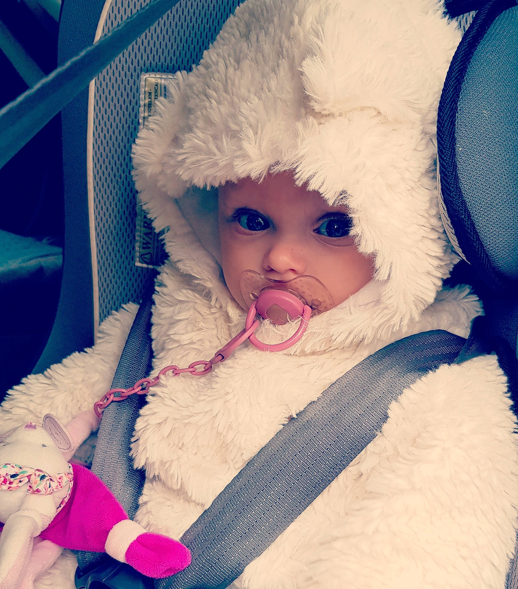 Emma participe au concours pour gagner de l'argent avec cette photo : baby, blue, cheek, child, ear, eye, fur, hat, headgear, headwear, lip, nose, person, pink, skin, toddler, winter