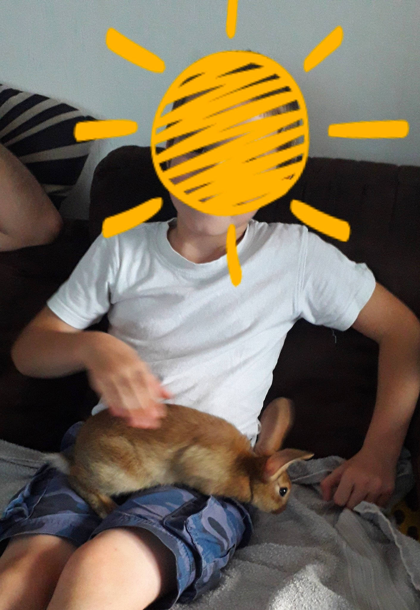 Cookie a rejoint le concours — aidez-le/la à gagner de superbes lots ! child, headgear, helmet, sitting, yellow