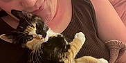 Betty joined the competition — help win amazing prizes! person, cat, kitten, calico_cat, bed, blanket, pillow, hand, nail_polish, bracelet, sleepy, cute, indoor, resting, closeup, face, skin, fur, calm, comfort