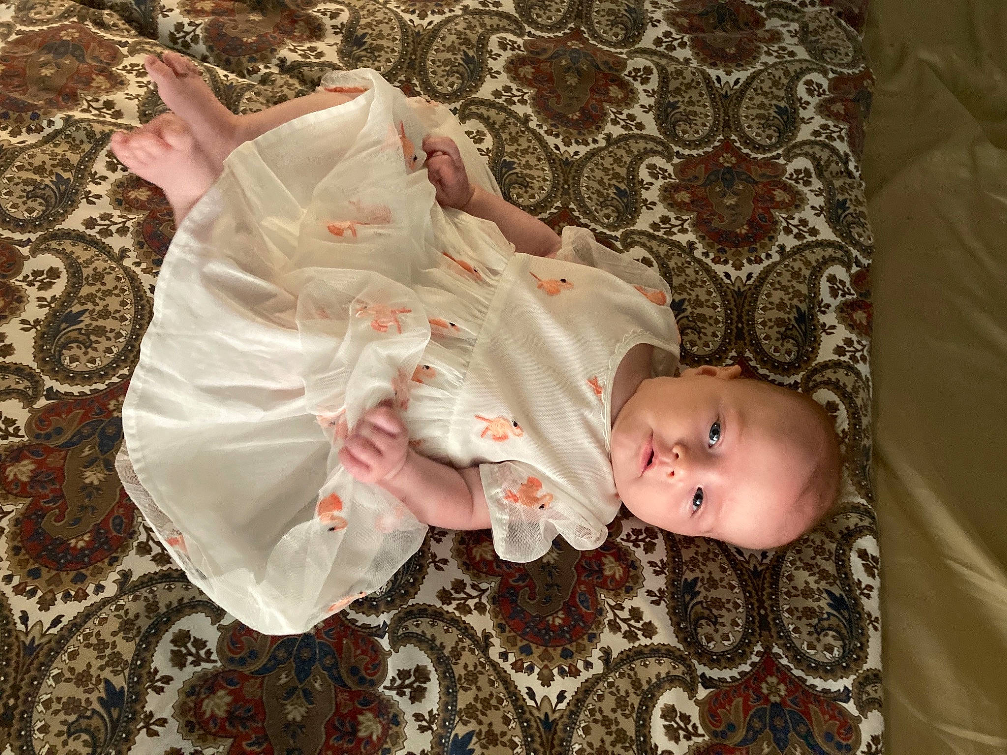 Margaux participe au concours pour gagner de l'argent avec cette photo : baby, baby_products, baby_toddler_clothing, child, comfort, day_dress, dress, grass, happy, head, linens, pattern, peach, person, room, sitting, sleeve, toddler, tree, wood