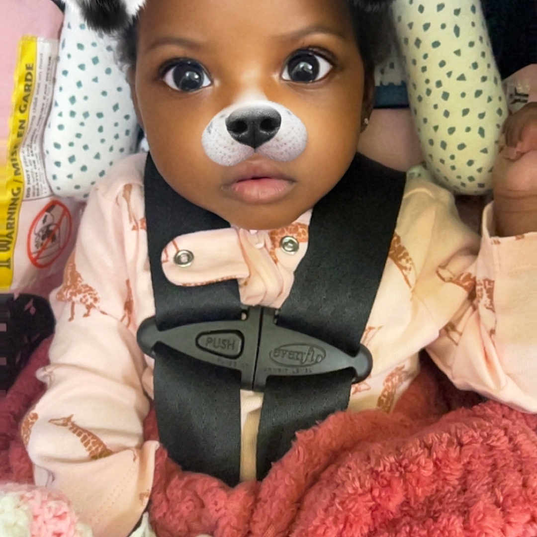 Raelynn joined the competition — help win amazing prizes! animal, blanket, canine, clothing, costume, couch, cushion, dog, doll, face, furniture, head, homedecor, person, pet, photography, portrait, puppy, quilt, toy
