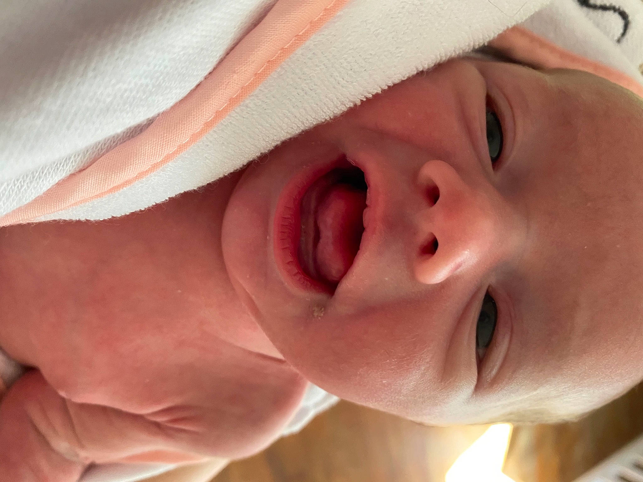 Adrienne joined the competition — help win amazing prizes! baby, cheek, chin, ear, eye, eyebrow, eyelash, face, facial_expression, finger, gesture, lip, mouth, muscle, neck, nose, orange, person, product, skin