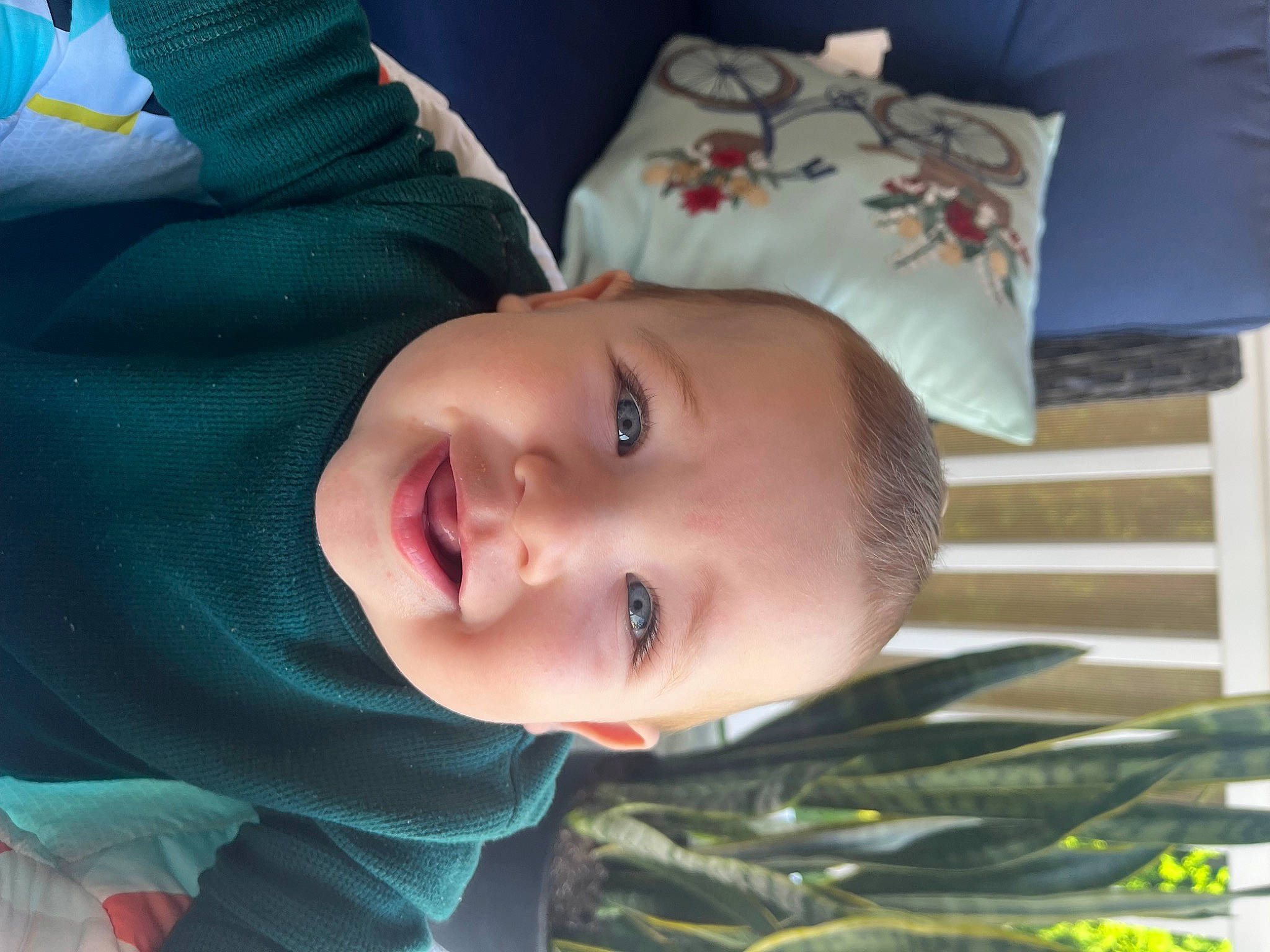 Emerson is registered to the contest to win money with this photo: baby, baby_laughing, baby_toddler_clothing, cheek, child, eye, fun, grass, happy, iris, leaf, lip, mouth, nose, person, plant, skin, smile, toddler, tree