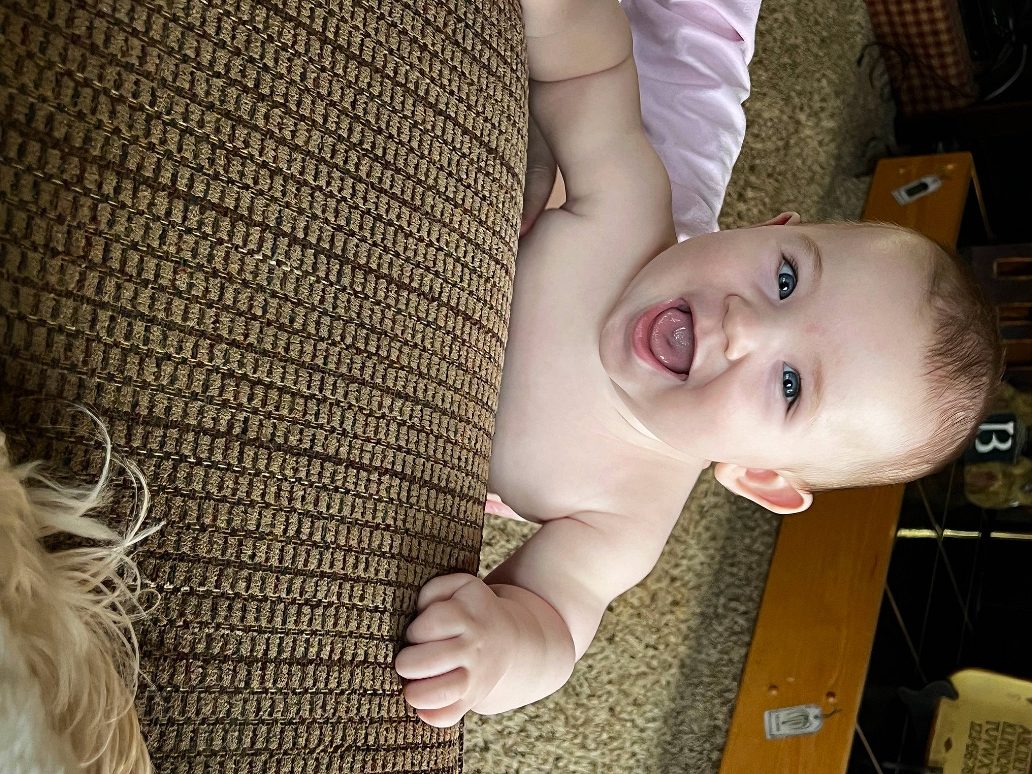 Emerson is registered to the contest to win money with this photo: baby, baby_toddler_clothing, cheek, eyelash, finger, gesture, hairstyle, hand, happy, human_body, iris, joint, lip, mouth, neck, nose, person, skin, smile, toddler