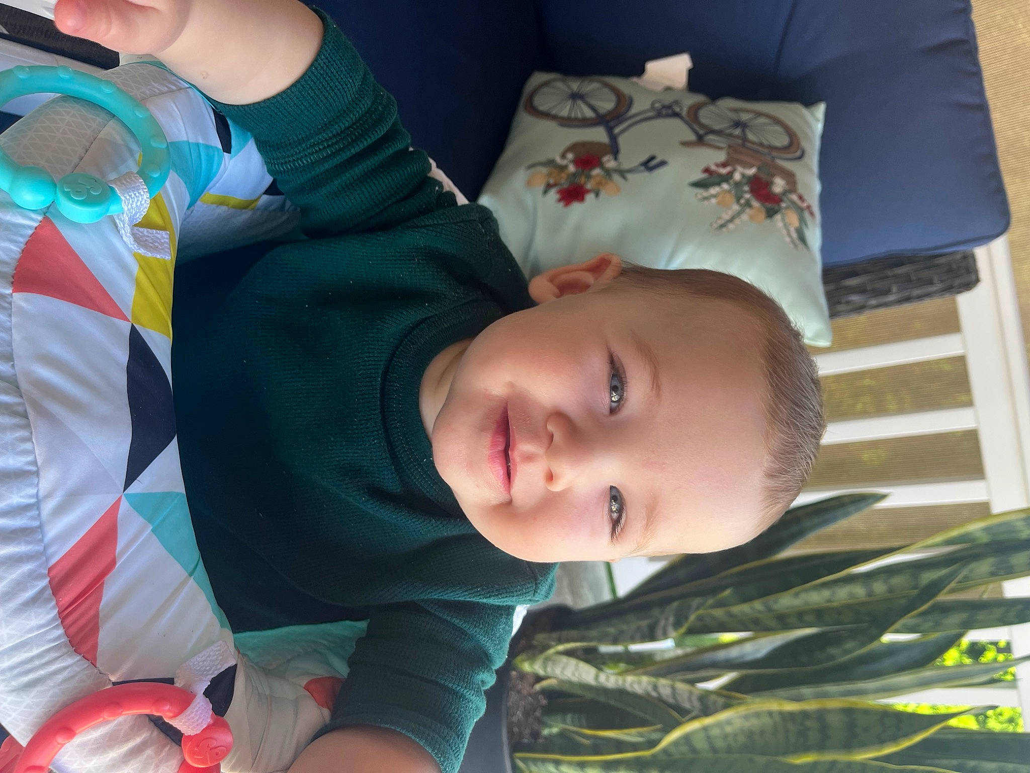 Emerson is registered to the contest to win money with this photo: baby, baby_products, baby_toddler_clothing, beauty, child, comfort, fun, grass, happy, leisure, nose, person, product, room, sitting, smile, textile, toddler, tree, vacation