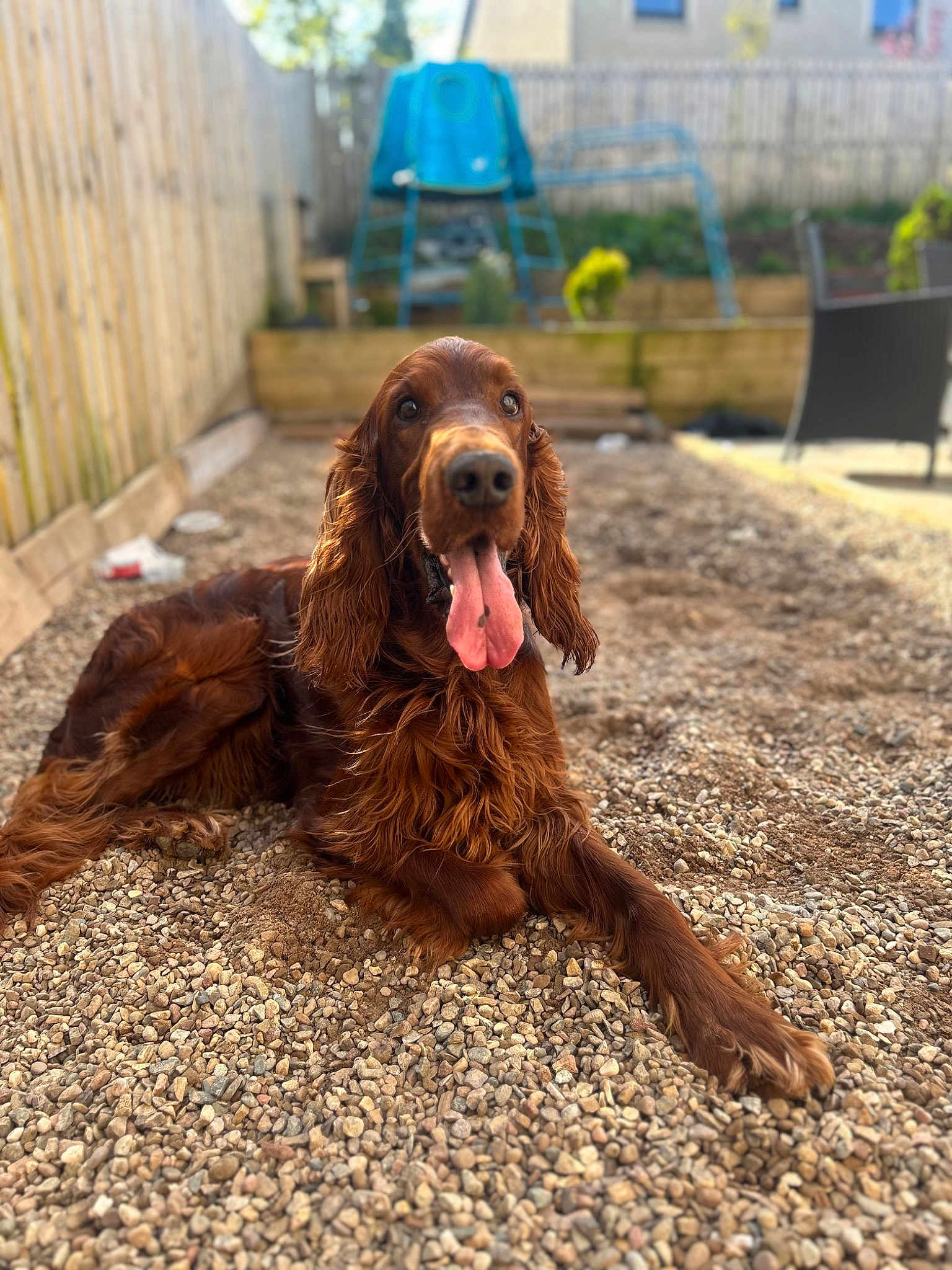 Rusty