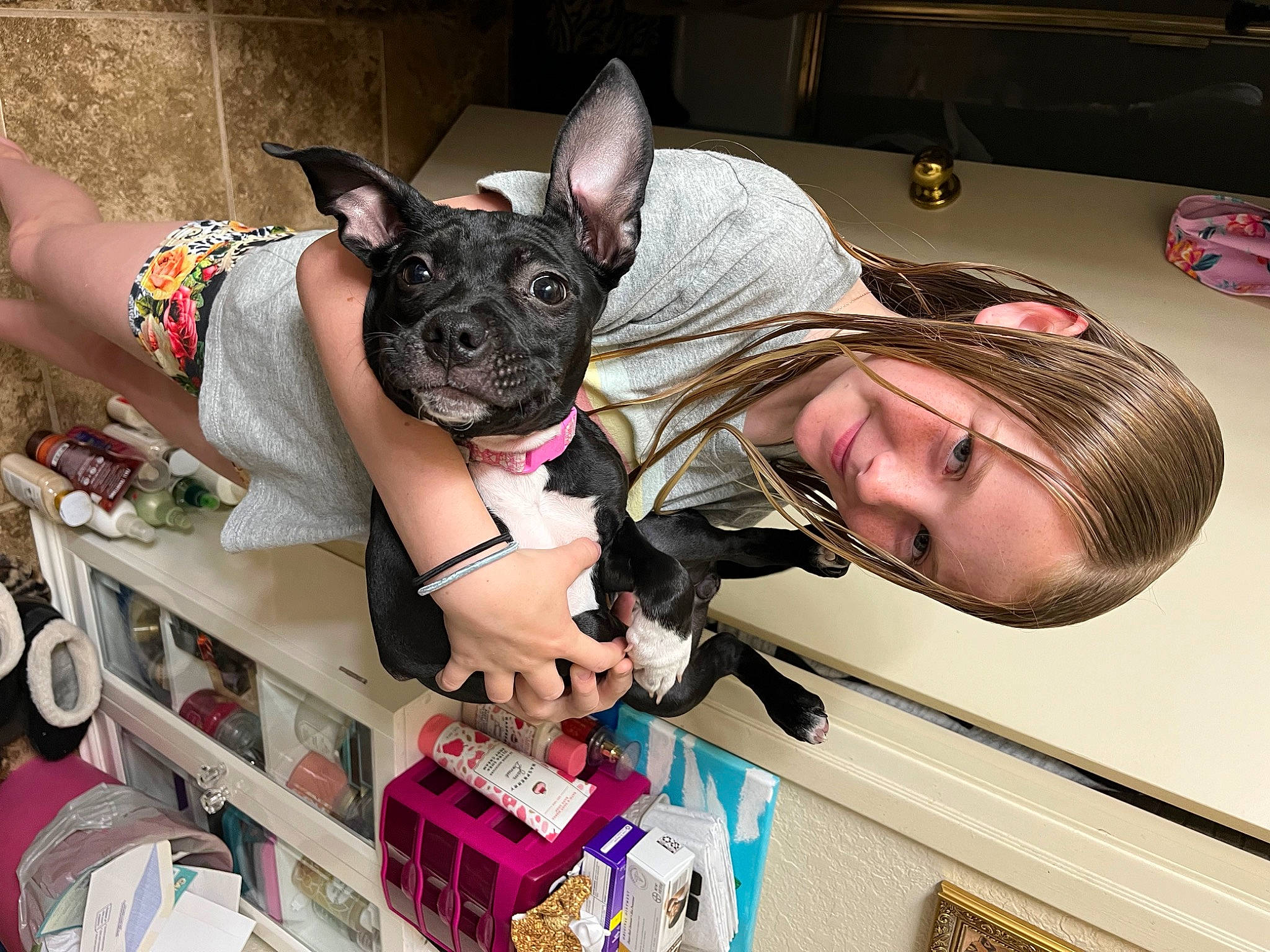 Sage joined the competition — help win amazing prizes! canidae, carnivore, chihuahua, comfort, companion_dog, dog, dog_breed, dog_supply, ear, fashion_accessory, fawn, fun, mammal, pink, smile, snout, sporting_group, toy_dog, vertebrate, working_animal