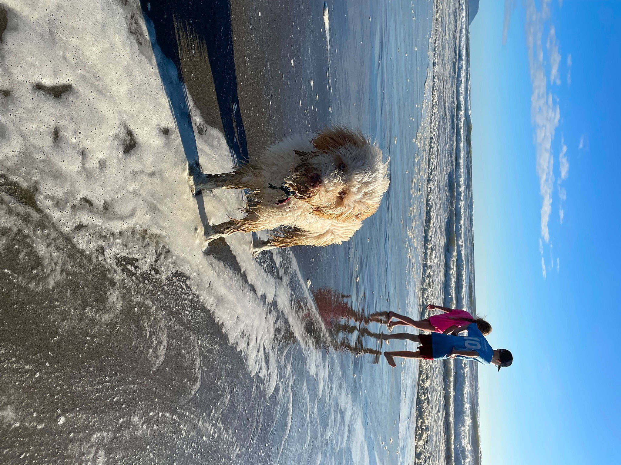 Dutton is registered to the contest to win money with this photo: adventure, azure, cloud, electric_blue, extreme_sport, fun, lake, leisure, line, plant, recreation, reflection, sky, tree, water, wave, wind, wind_wave, window, wood