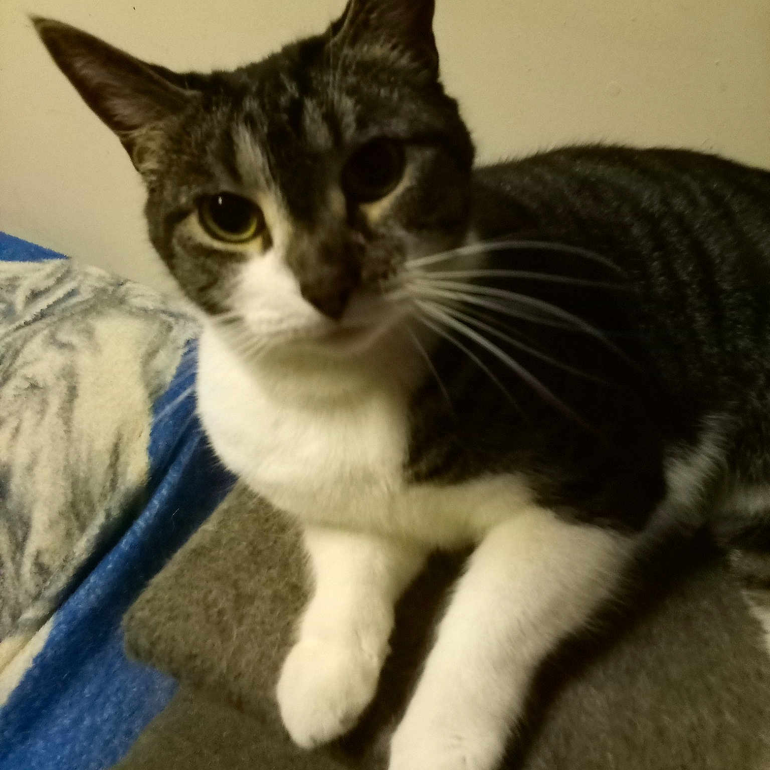 Fiona