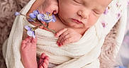 Chloe joined the competition — help win amazing prizes! baby, blanket, closeup, cozy, cute, delicate, feet, flower, hand, infant, newborn, peaceful, portrait, purple_flower, resting, skin, sleeping, soft_texture, toes, wrapped