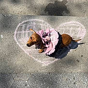 Astrid Celeste is registered to the contest to win money with this photo: