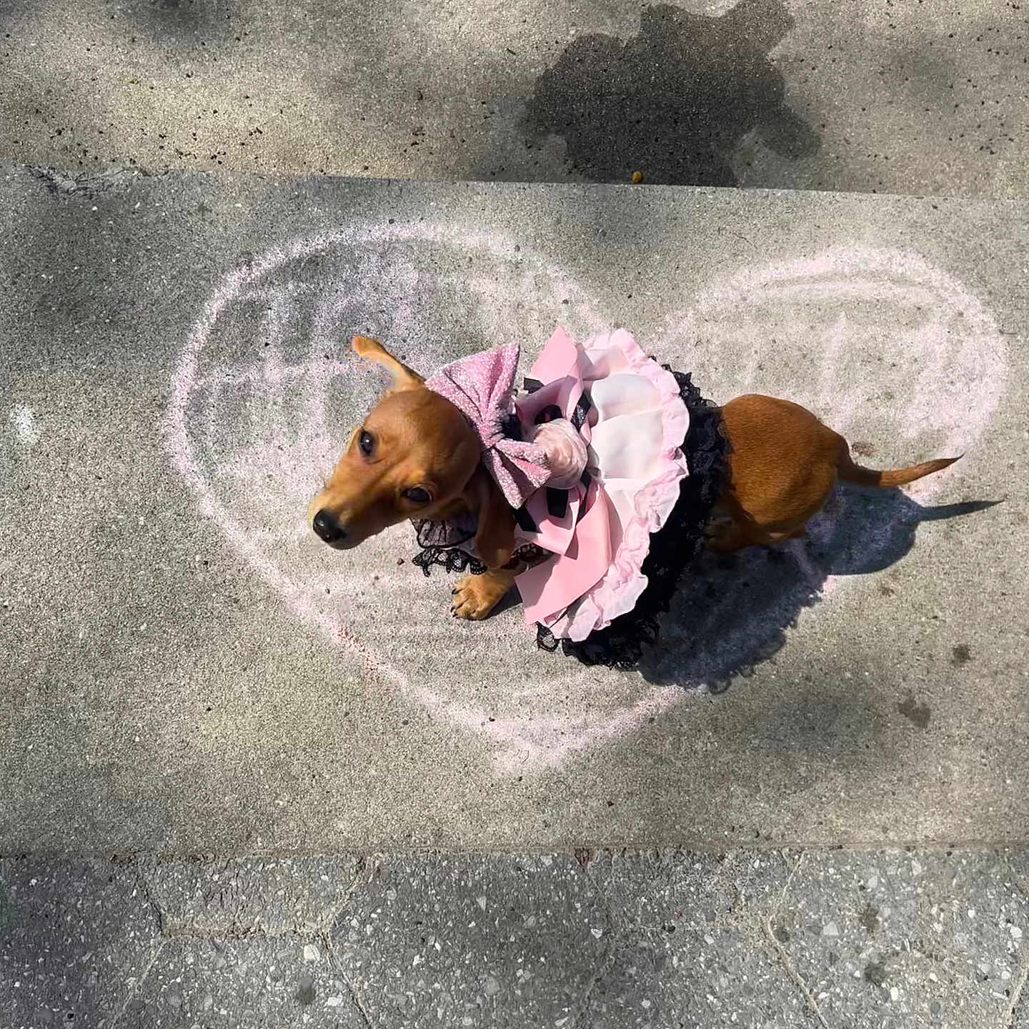 Astrid Celeste is registered to the contest to win money with this photo: