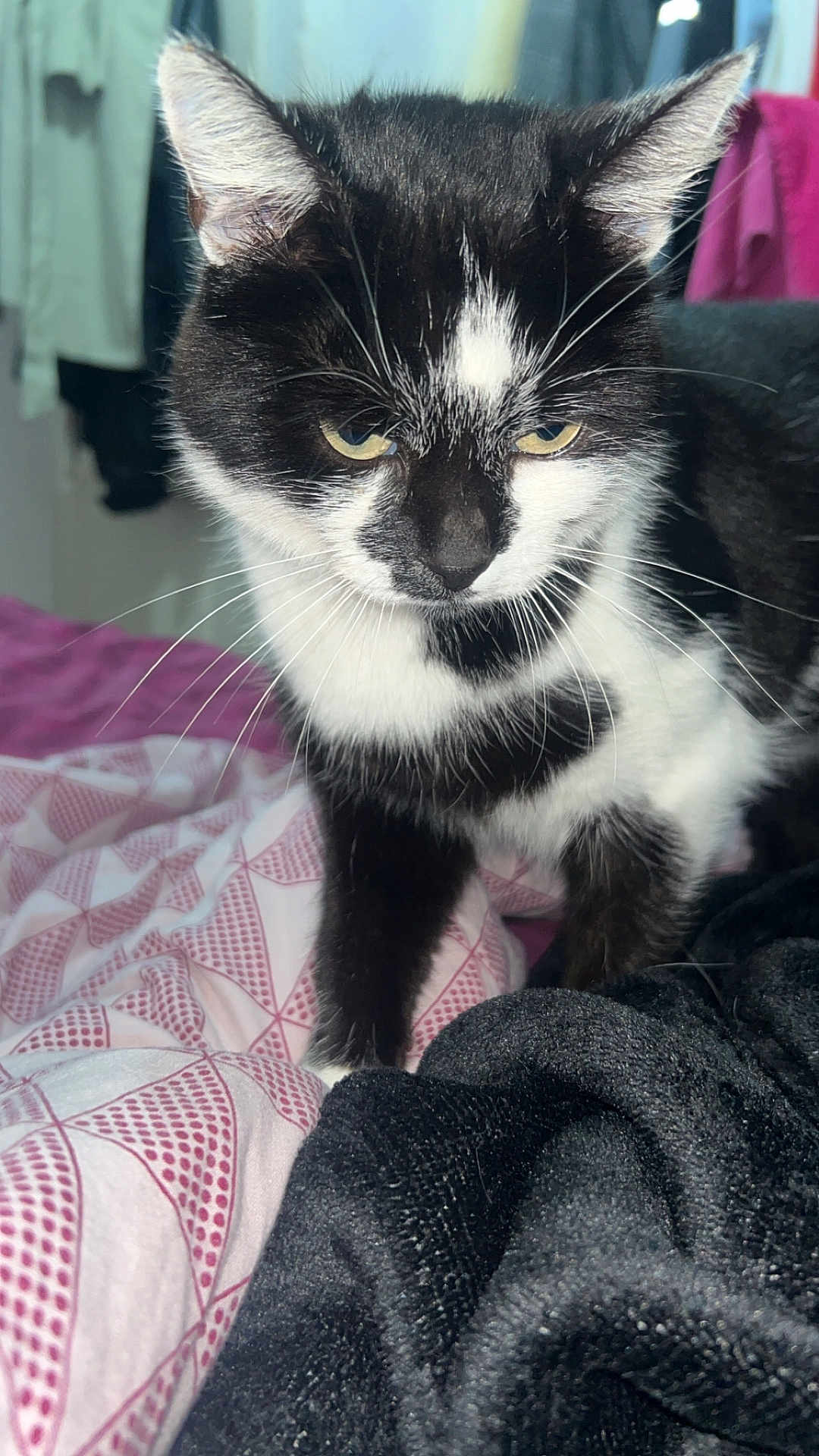 Mimi