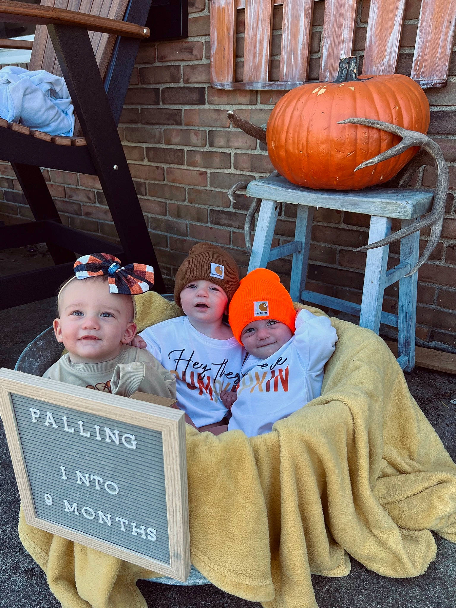 Dixie joined the competition — help win amazing prizes! baseball_cap, calabaza, cap, child, cucurbita, event, fun, gourd, hat, headgear, headwear, jack_o_lantern, joy, leisure, orange, person, pumpkin, squash, sunglasses, toddler