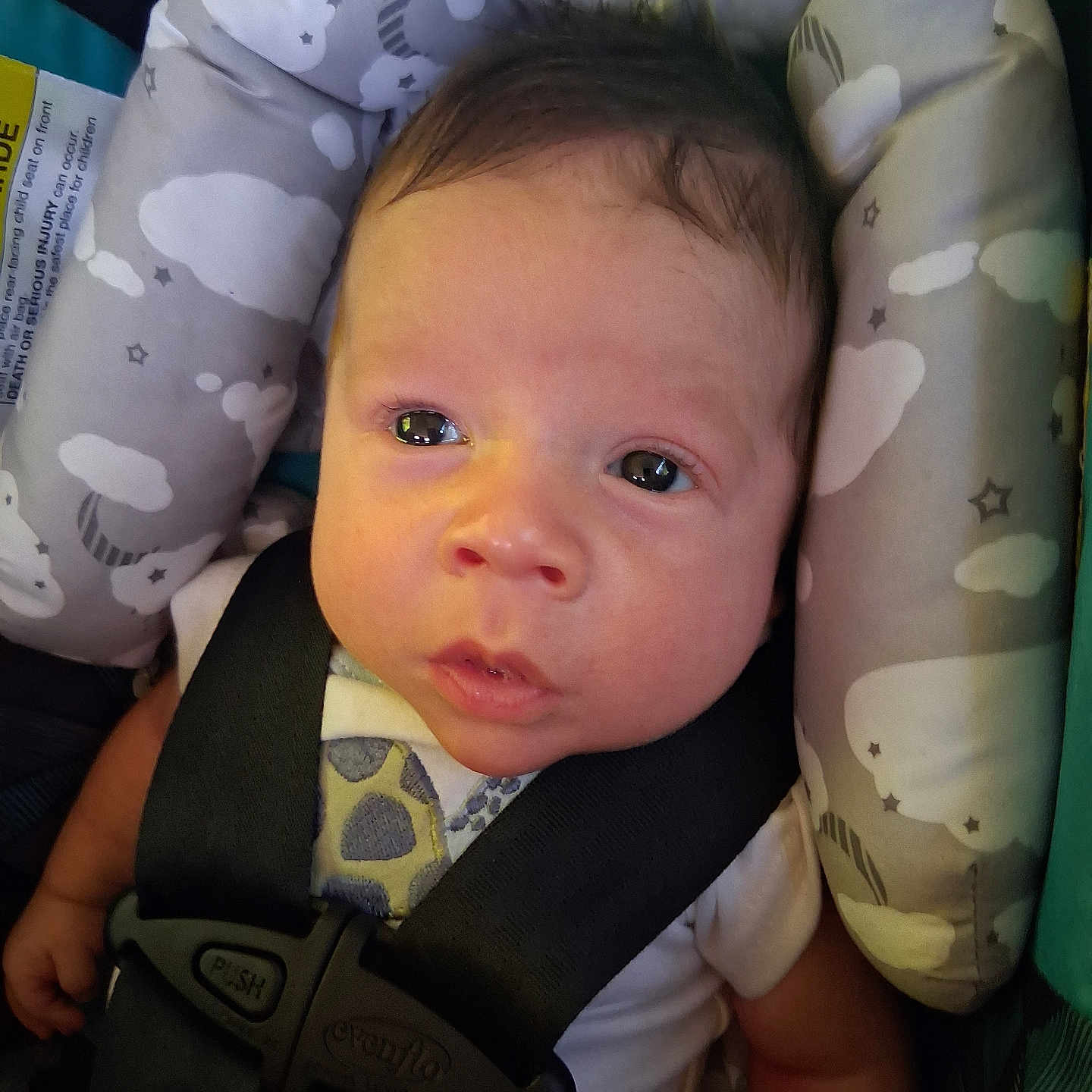 Southern is registered to the contest to win money with this photo: baby, infant, car_seat, child, seatbelt, cloud_pattern, cushion, strapped_in, young_child, face, portrait, cute, indoors, closeup, looking_up, clothing, human, newborn, seat, secure