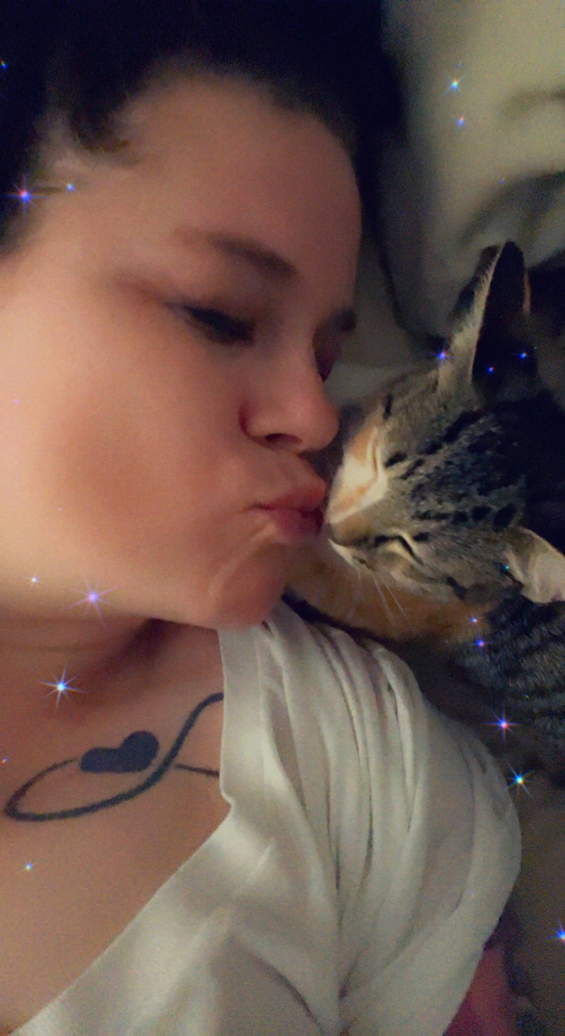 Primrose joined the competition — help win amazing prizes! black_hair, carnivore, cat, cool, ear, eyebrow, eyelash, felidae, flash_photography, gesture, happy, human_body, jaw, lip, long_hair, mouth, neck, nose, small_to_medium_sized_cats, whiskers