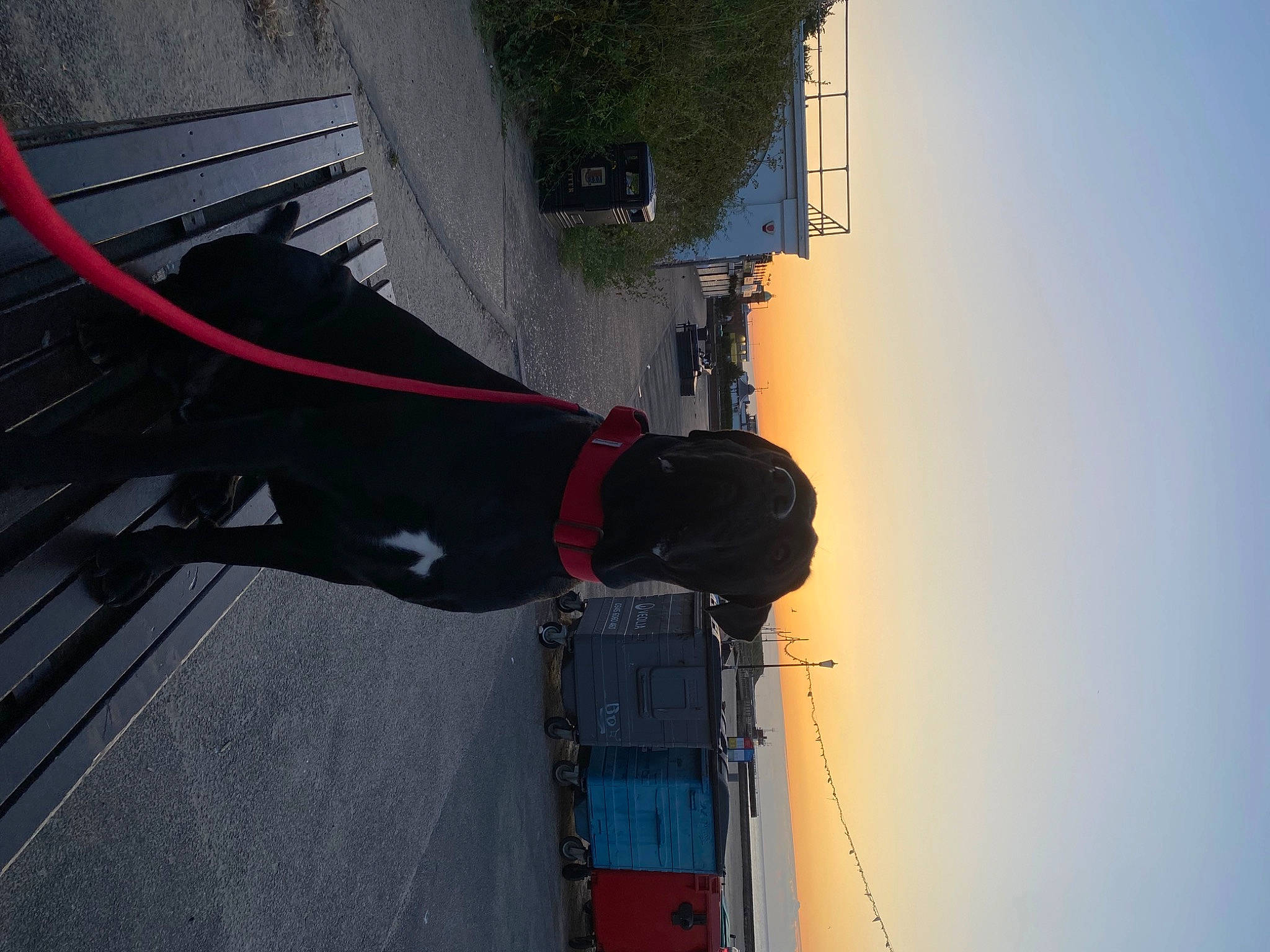 Benson joined the competition — help win amazing prizes! automotive_wheel_system, carmine, city, electrical_supply, electricity, line, machine, plant, public_utility, signaling_device, sky, transport, tree, vehicle, water, window, wire