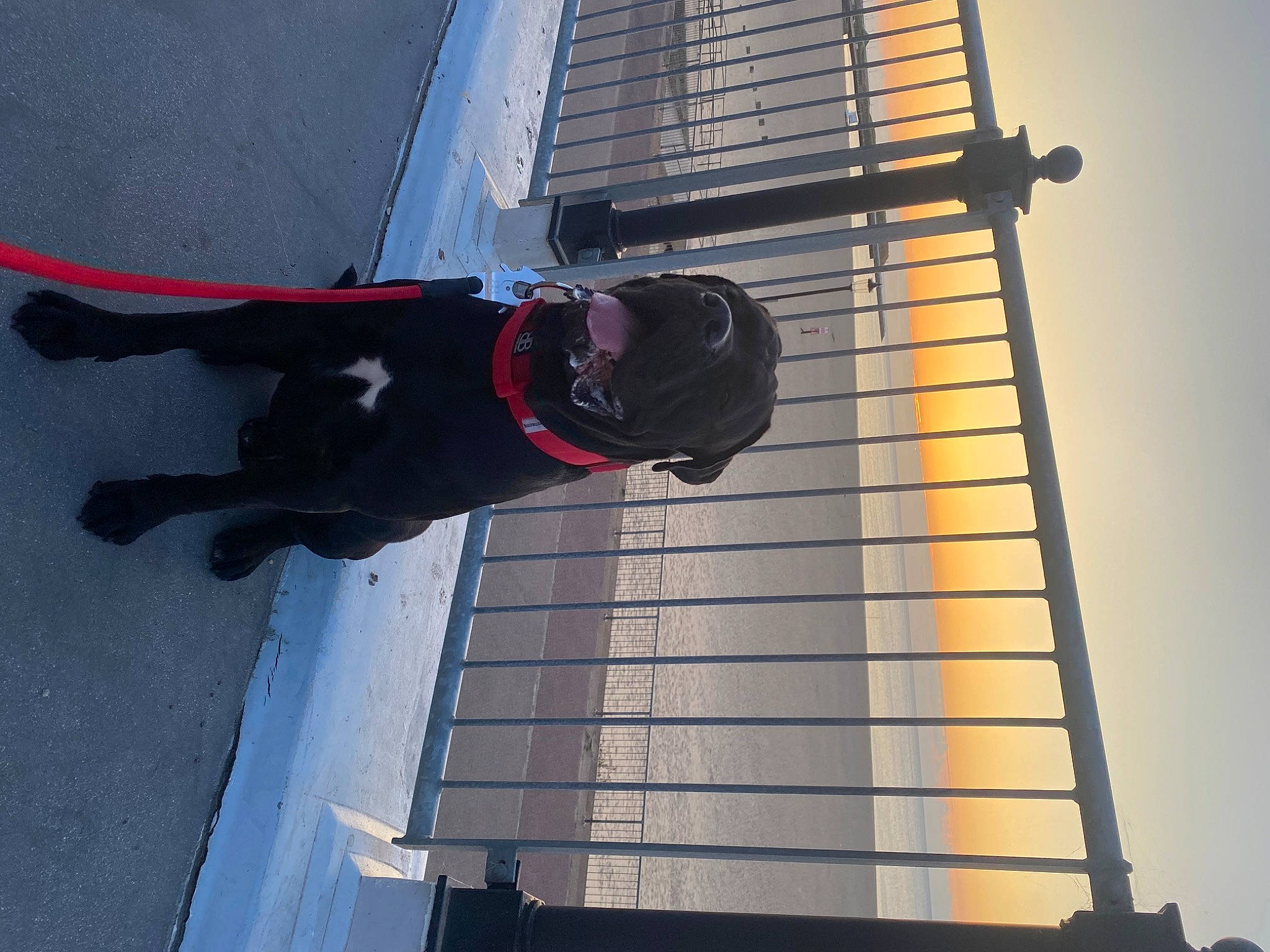 Benson is registered to the contest to win money with this photo: carmine, composite_material, facade, hat, light, line, metal, outdoor_shoe, personal_protective_equipment, sky, street_light, walking_shoe, window, wire