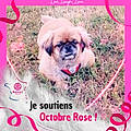 Guilaine M.