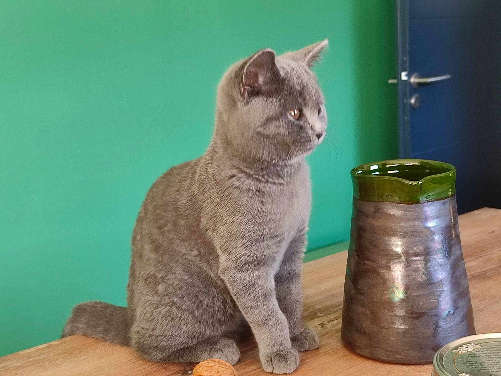 Wendy a rejoint le concours — aidez-le/la à gagner de superbes lots ! artifact, carnivore, cat, cat_supply, comfort, domestic_short_haired_cat, earthenware, felidae, grey, pottery, russian_blue, sculpture, small_to_medium_sized_cats, snout, tail, terrestrial_animal, whiskers, window, wood