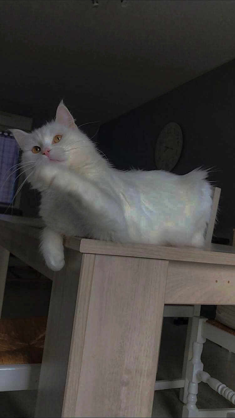 Tilwen