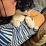 animal, black_and_white_cat, cat, close_up, comfort, couch, cute, face, furniture, glasses, hand, holding, home, indoor, person, pet, pillow, relaxing, striped_shirt, whiskers