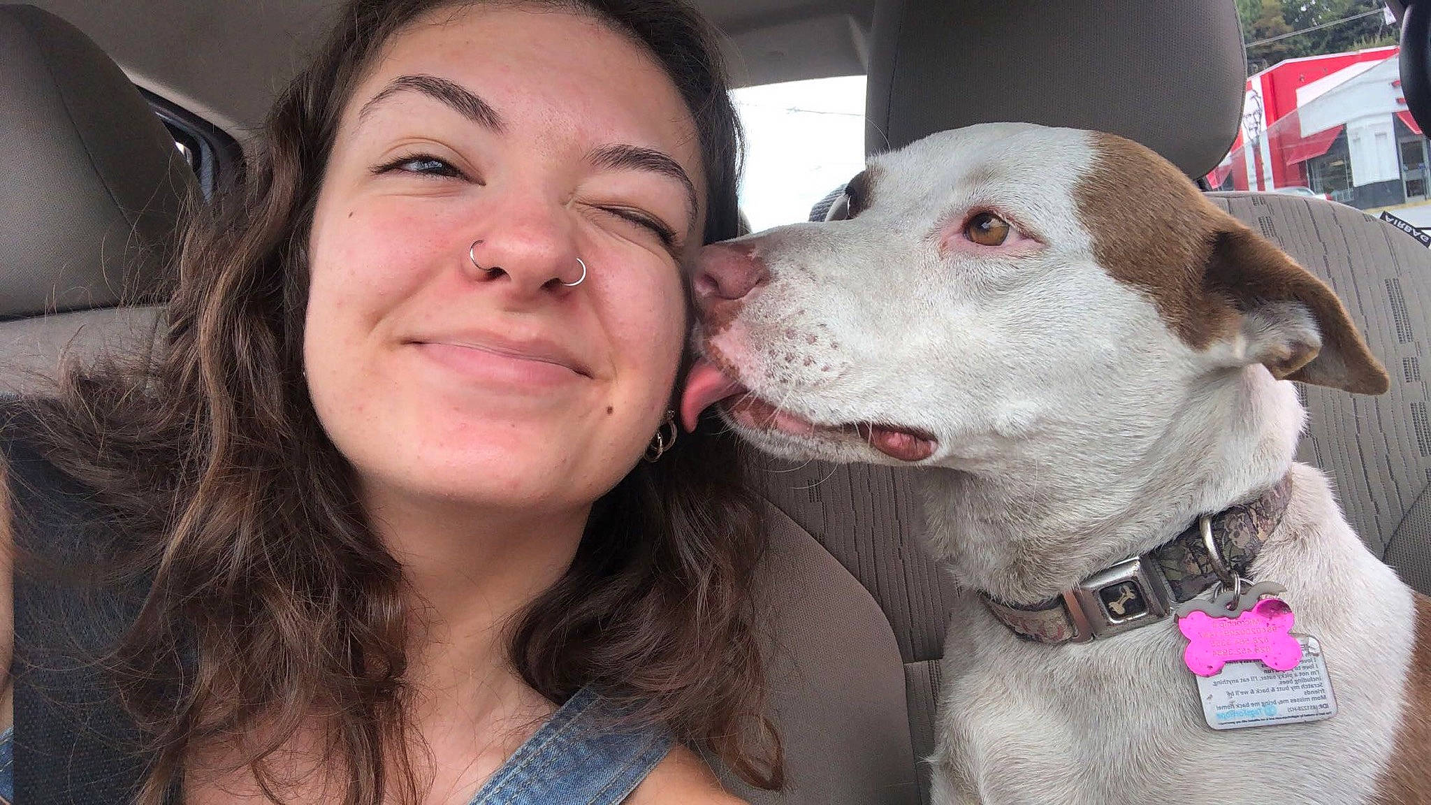 Cocoa joined the competition — help win amazing prizes! american_pit_bull_terrier, canidae, carnivore, companion_dog, dog, dog_breed, ear, fawn, mammal, non_sporting_group, nose, pit_bull, puppy_love, selfie, smile, snout, sporting_group