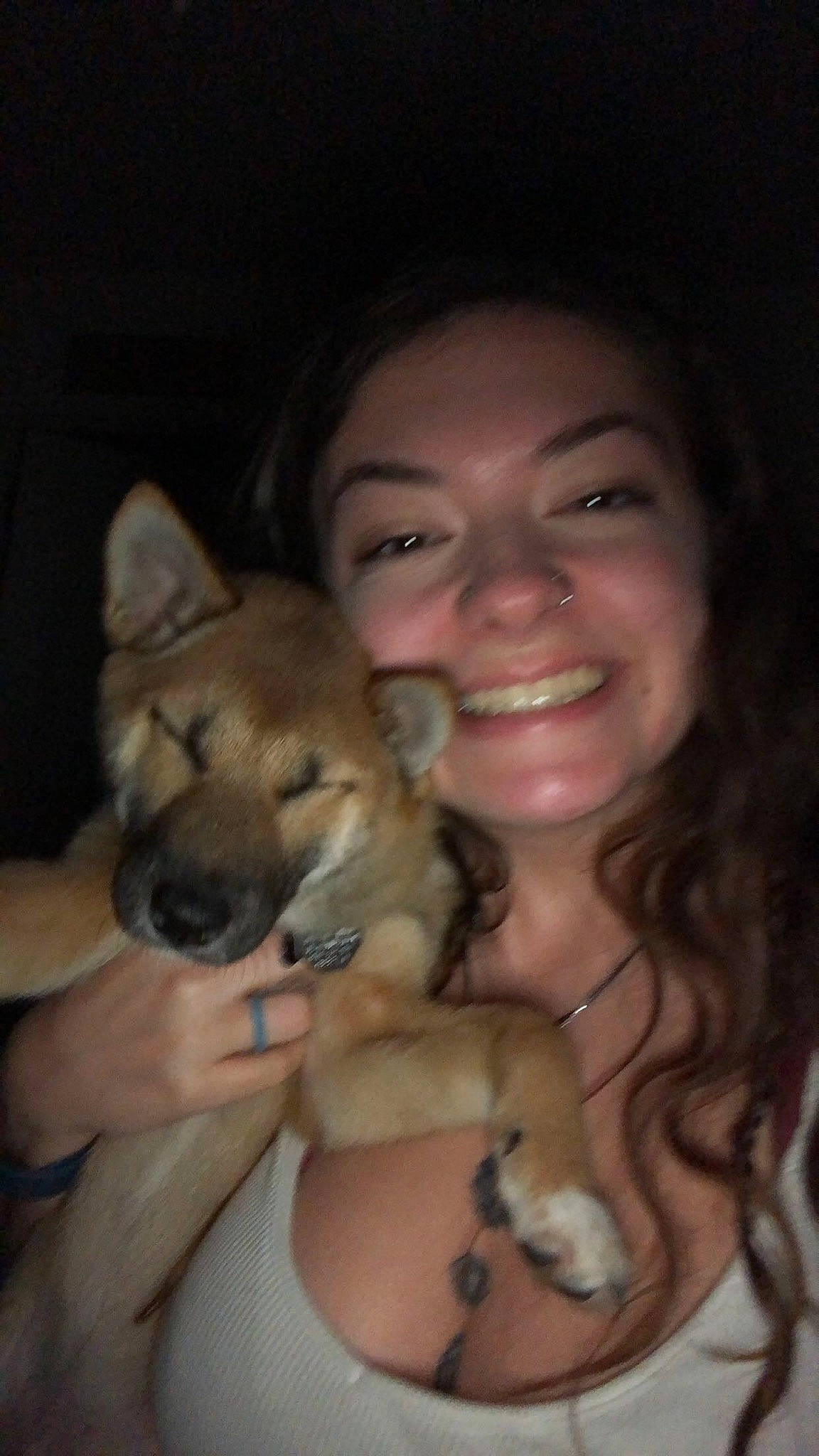 Luna is registered to the contest to win money with this photo: akita_inu, canidae, carnivore, companion_dog, czechoslovakian_wolfdog, dog, dog_breed, fawn, mammal, nose, puppy, shiba_inu, skin, sulimov_dog, wolfdog