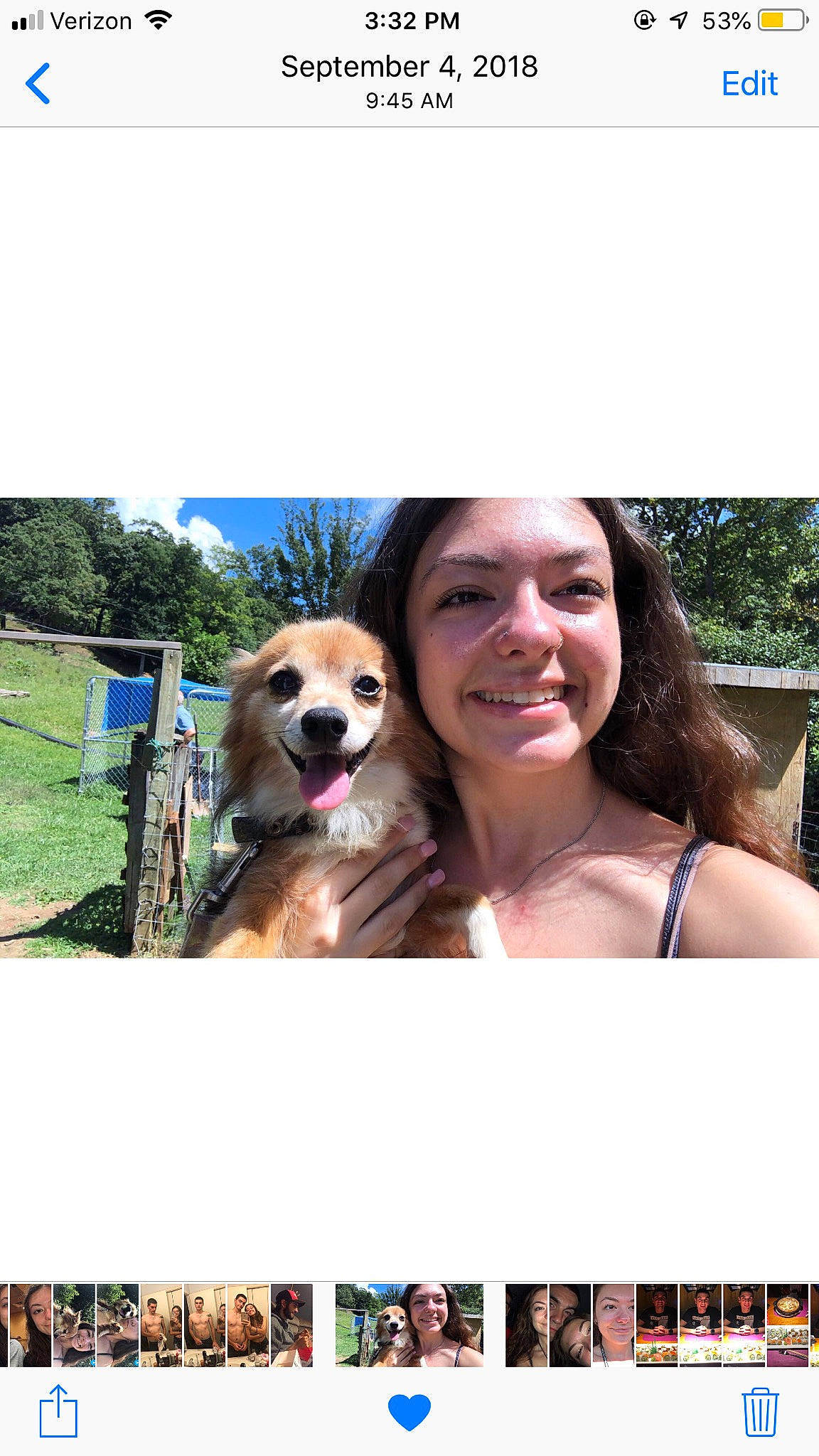 Roscoe is registered to the contest to win money with this photo: canidae, carnivore, companion_dog, dog, dog_breed, fawn, golden_retriever, nose, photo_caption, photography, puppy, puppy_love, retriever, selfie, sporting_group