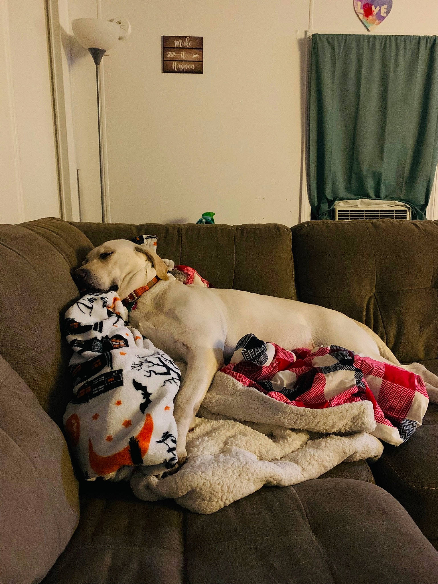 Nova is registered to the contest to win money with this photo: canidae, carnivore, comfort, companion_dog, couch, dog, fawn, felidae, flooring, fur, furniture, hardwood, linens, living_room, room, sofa_bed, sporting_group, studio_couch, stuffed_toy, toy