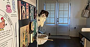 Sake is registered to the contest to win money with this photo: cat, refrigerator, magnets, notes, kitchen, door, window, curious, pet, indoor, home, furniture, floor, light, shadow, animal, wooden_floor, decor, household, surprise