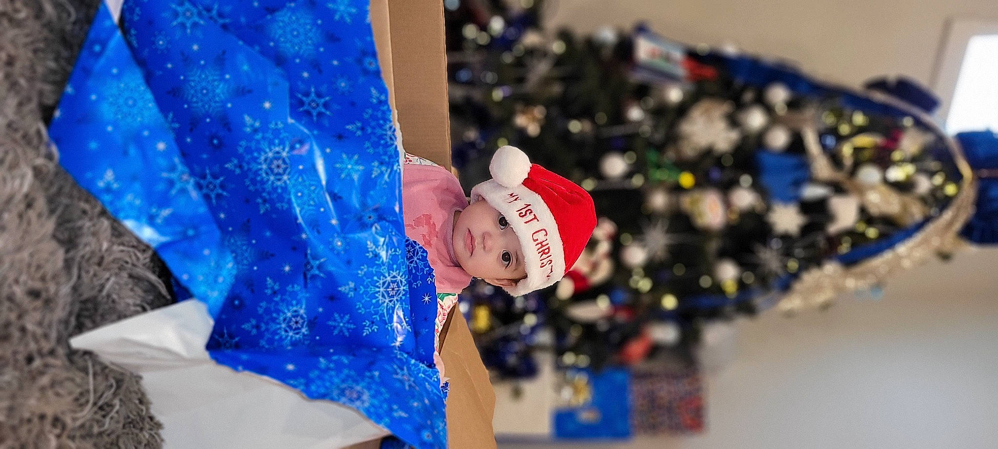 Lola is registered to the contest to win money with this photo: carmine, christmas, christmas_decoration, christmas_eve, christmas_ornament, christmas_tree, electric_blue, event, fun, happy, headwear, holiday, leisure, ornament, party_supply, person, play, recreation, tradition, tree