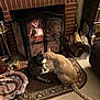 cat, fireplace, fire, rug, wood, indoor, cozy, warm_light, home, decor, pet, animal, feline, firewood, metal_screen, carpet, floor, living_room, two_cats, affection
