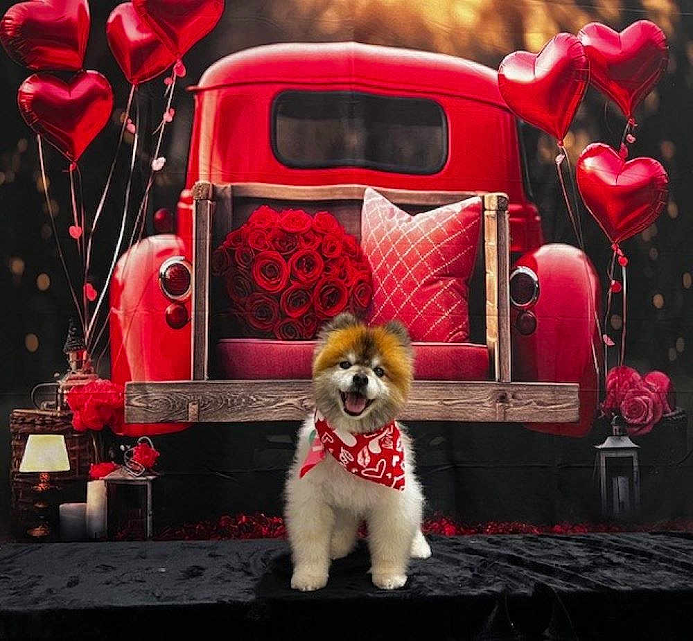Tyson