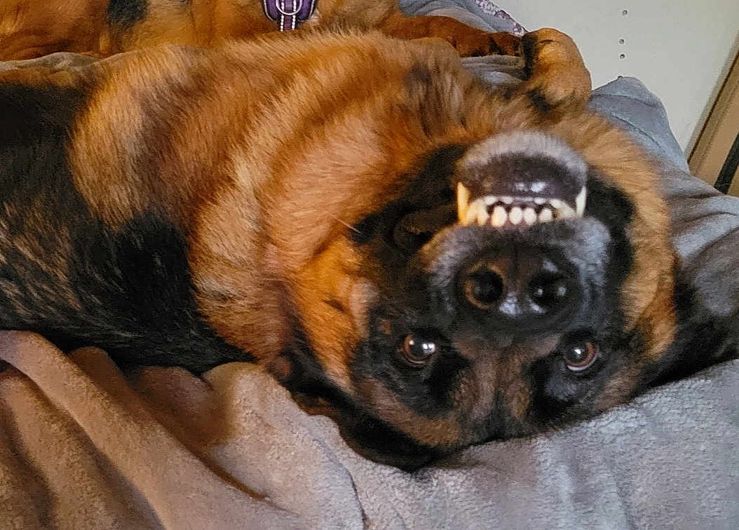Axel