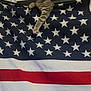 americanflag, animal, cat, flag, kitten, manx, pet