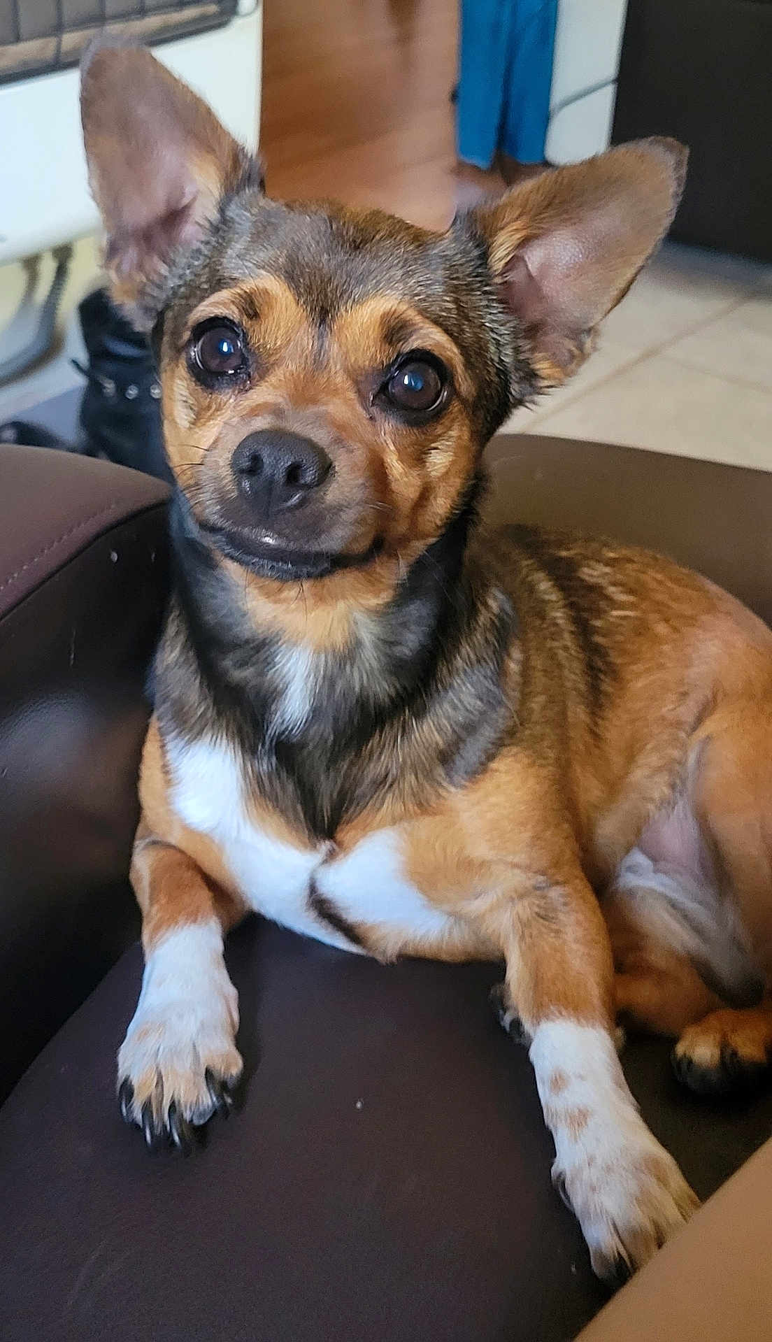 Penny