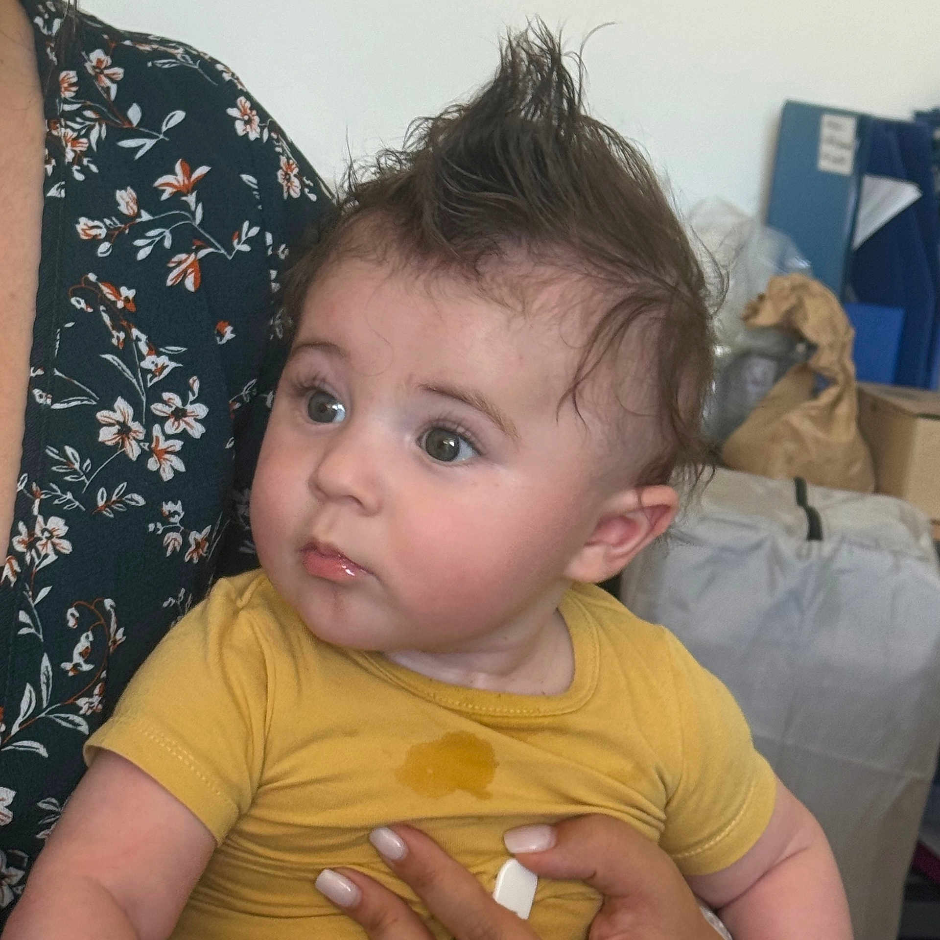 Enzo participe au concours pour gagner de l'argent avec cette photo : adult, baby, box, child, curious, expression, eyes, face, floral_clothing, hair, hand, holding, indoor, mohawk, person, portrait, skin, stain, storage, yellow_shirt