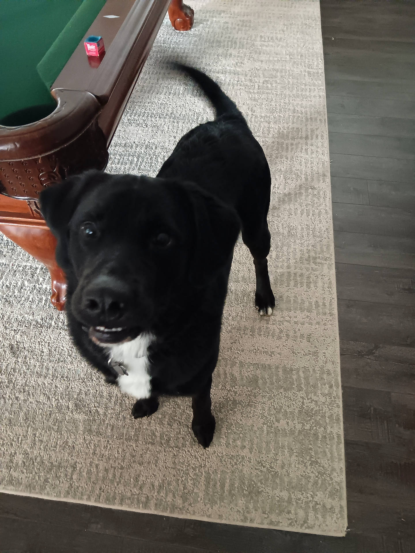 Oreo