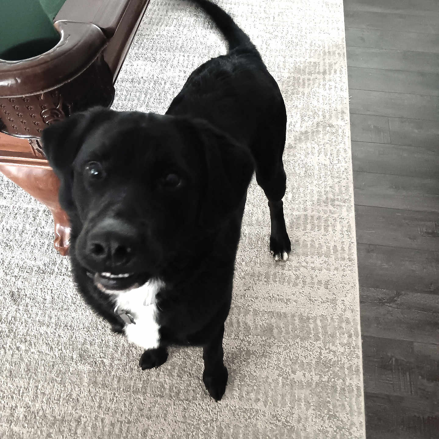Oreo
