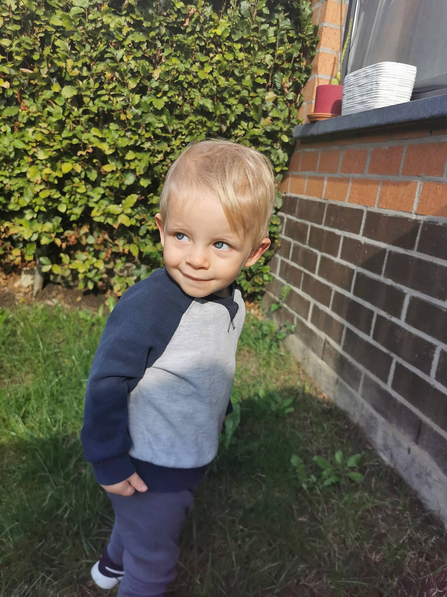 Zakari participe au concours pour gagner de l'argent avec cette photo : child, garden, grass, joy, lawn, leaf, person, plant, toddler, yard