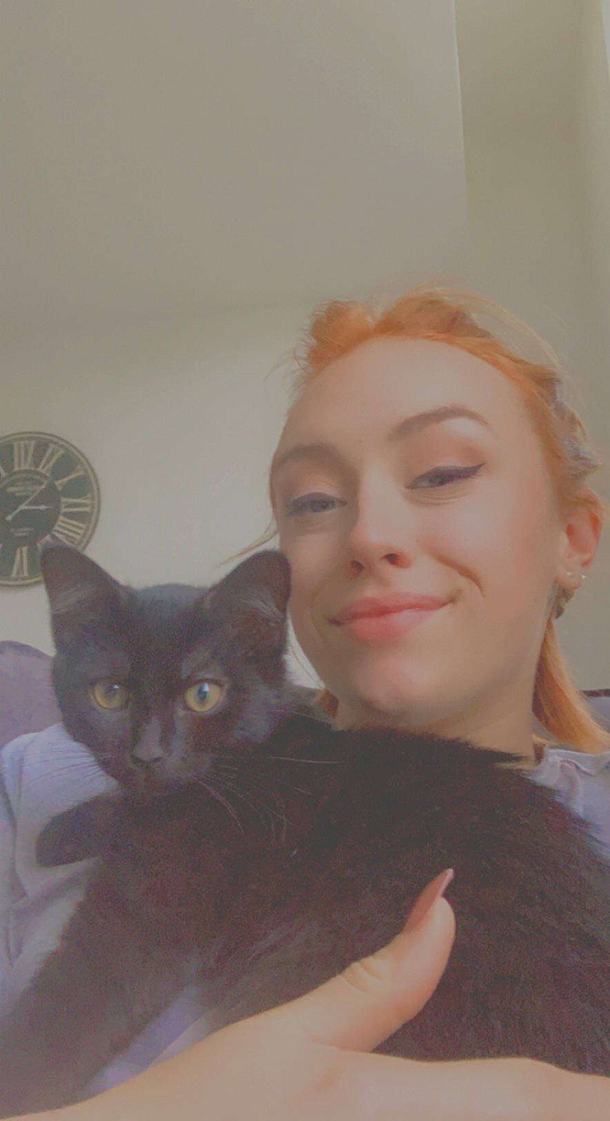 Rolho a rejoint le concours — aidez-le/la à gagner de superbes lots ! black_cat, brown_hair, carnivore, cat, cheek, domestic_short_haired_cat, ear, eyebrow, eyelash, facial_hair, felidae, formal_wear, fur, gesture, iris, selfie, skin, small_to_medium_sized_cats, smile, whiskers