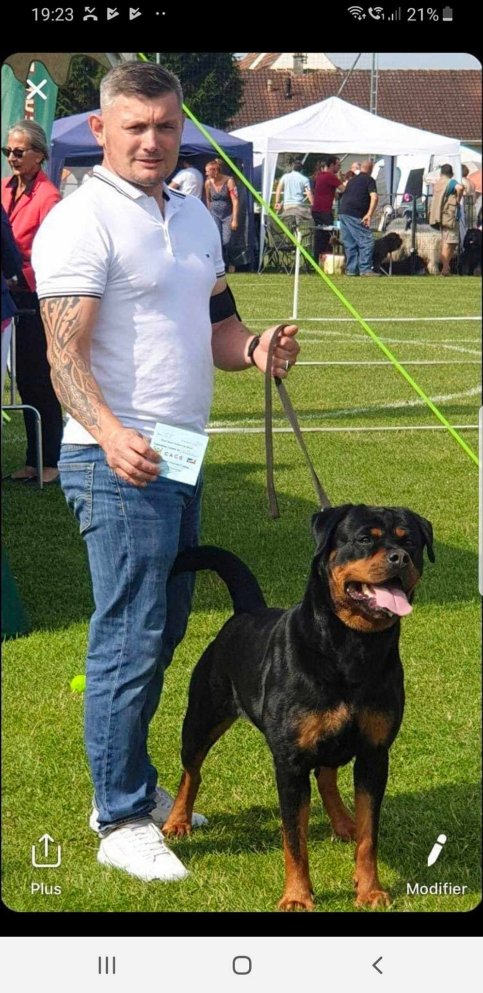 Leia Des Guerriers Saiyans