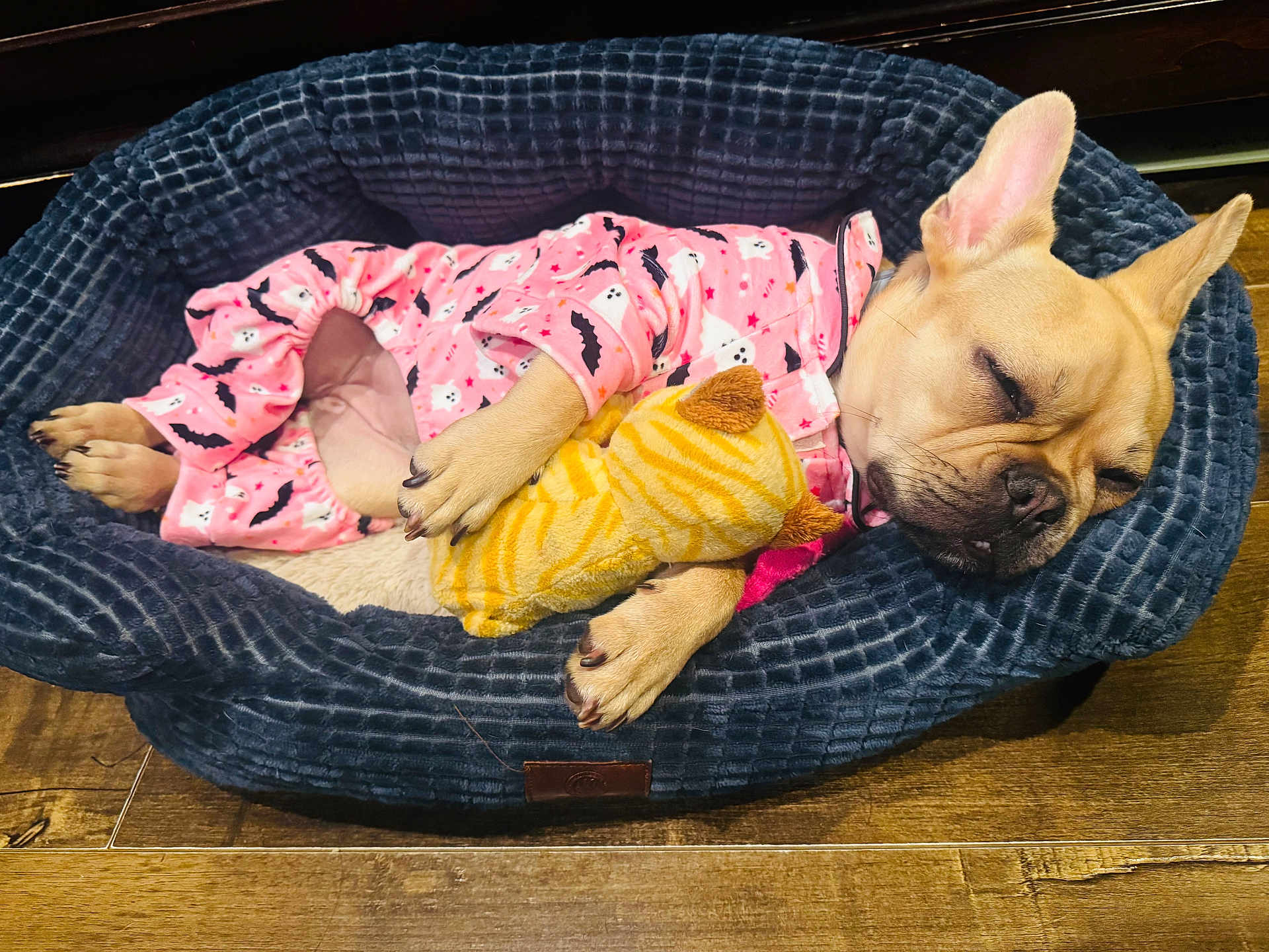 Lilo